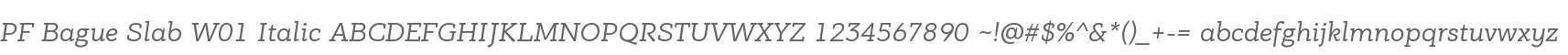 PF Bague Slab W01 Italic