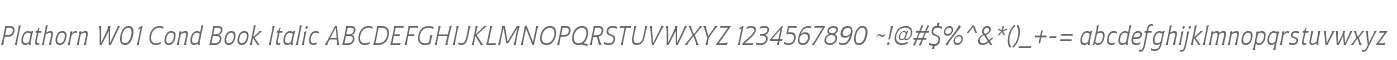 Plathorn W01 Cond Book Italic