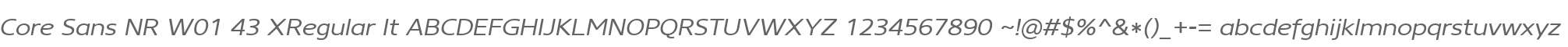 Core Sans NR W01 43 XRegular It