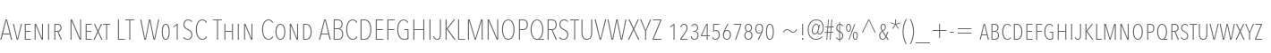 Avenir Next LT W01SC Thin Cond