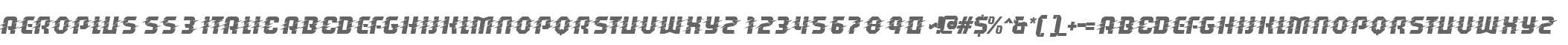 Aeroplus SS 3 Italic