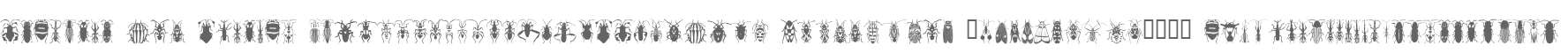 StanBugs W95 Regular
