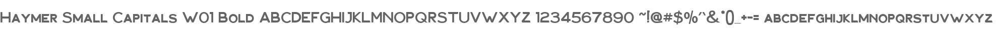 Haymer Small Capitals W01 Bold
