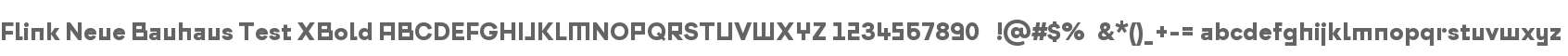 Flink Neue Bauhaus Test XBold