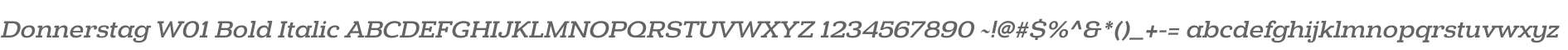 Donnerstag W01 Bold Italic