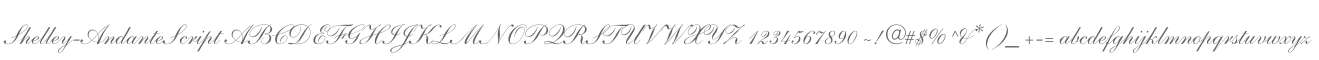 Shelley-AndanteScript