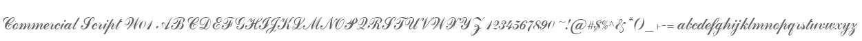 Commercial Script W01