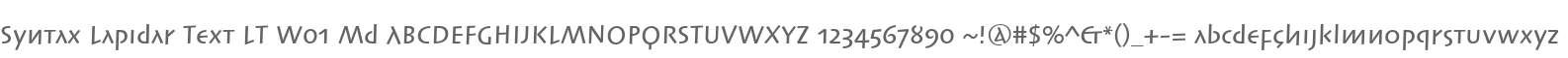 Syntax Lapidar Text LT W01 Md