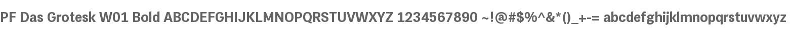 PF Das Grotesk W01 Bold