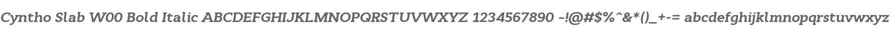 Cyntho Slab W00 Bold Italic