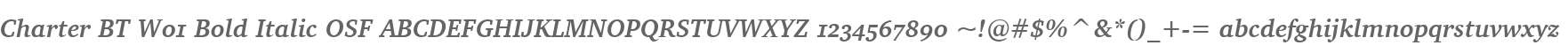 Charter BT W01 Bold Italic OSF