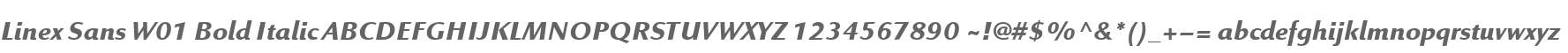 Linex Sans W01 Bold Italic