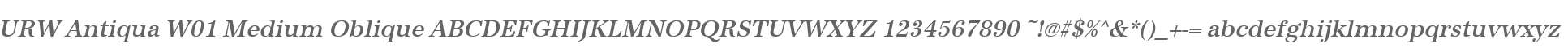 URW Antiqua W01 Medium Oblique