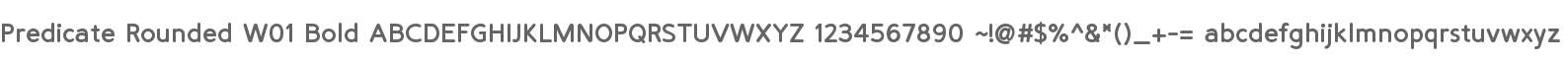 Predicate Rounded W01 Bold
