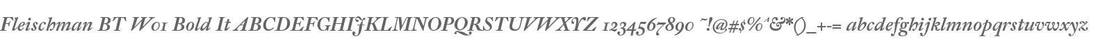 Fleischman BT W01 Bold It