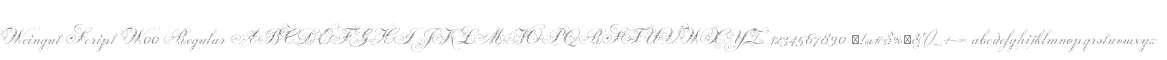 Weingut Script W00 Regular
