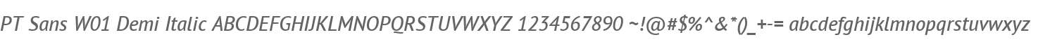 PT Sans W01 Demi Italic