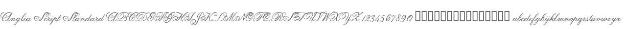 Anglia Script Standard