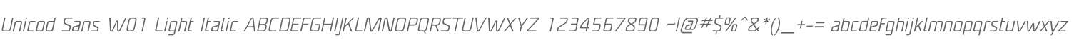 Unicod Sans W01 Light Italic