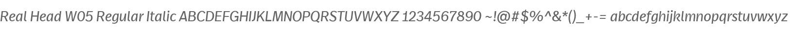 Real Head W05 Regular Italic