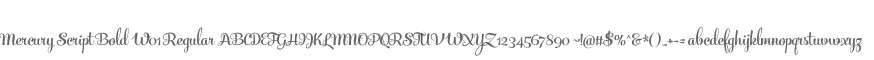 Mercury Script Bold W01 Regular