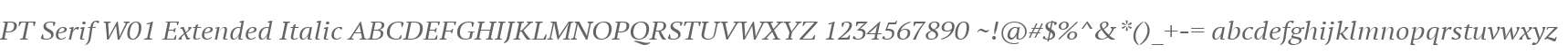 PT Serif W01 Extended Italic