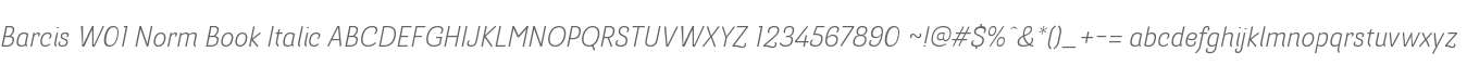 Barcis W01 Norm Book Italic