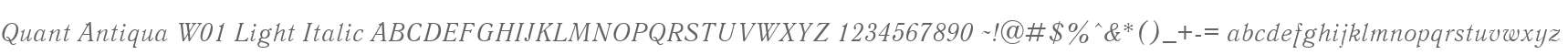 Quant Antiqua W01 Light Italic