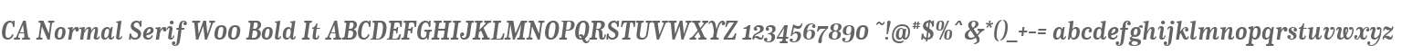 CA Normal Serif W00 Bold It