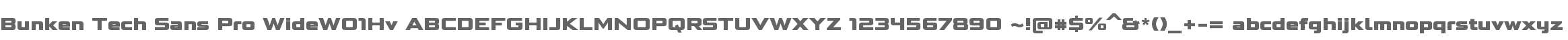 Bunken Tech Sans Pro WideW01Hv