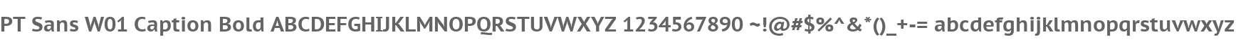 PT Sans W01 Caption Bold