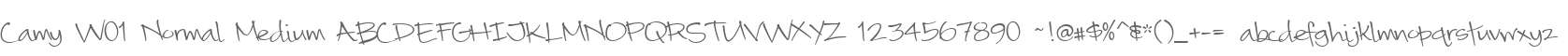 Camy W01 Normal Medium
