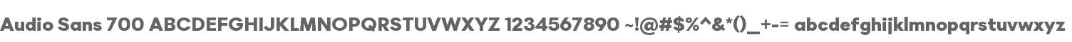 Audio Sans 700
