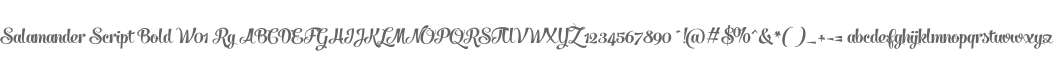 Salamander Script Bold W01 Rg