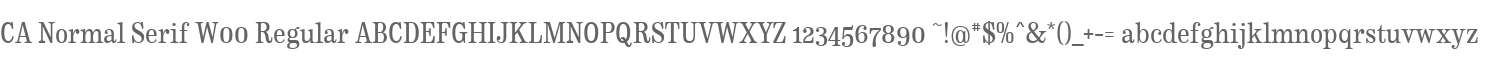 CA Normal Serif W00 Regular