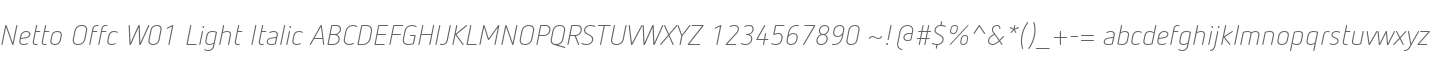 Netto Offc W01 Light Italic