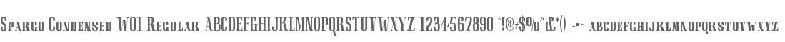 Spargo Condensed W01 Regular