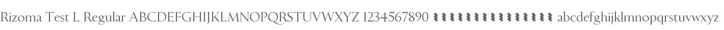 Rizoma Test L