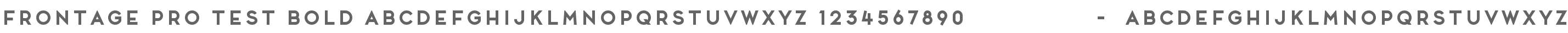 Frontage Pro Test Bold