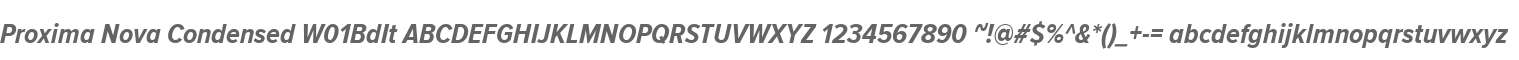 Proxima Nova Condensed W01BdIt