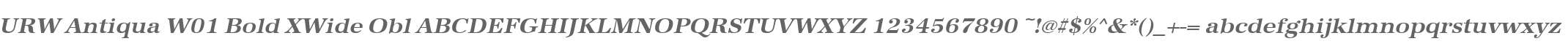 URW Antiqua W01 Bold XWide Obl