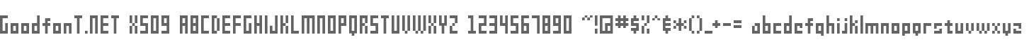 GoodfonT.NET XS09