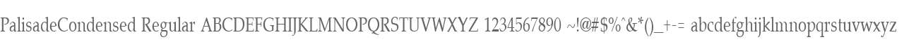 PalisadeCondensed Regular