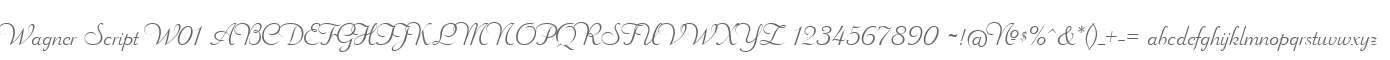 Wagner Script W01