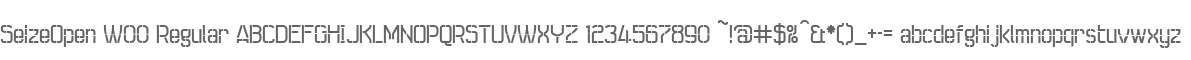 SeizeOpen W00 Regular