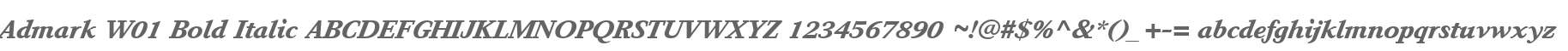 Admark W01 Bold Italic