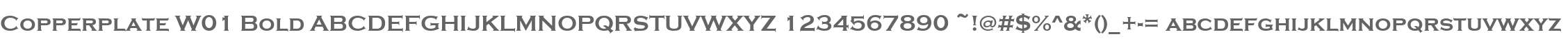 Copperplate W01 Bold