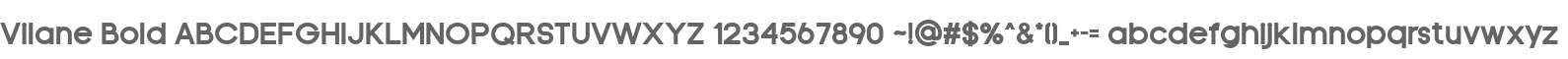 Vilane Bold
