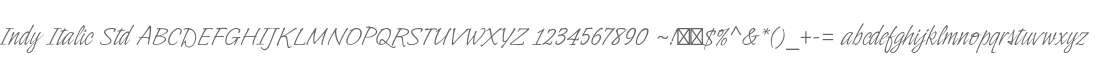 Indy Italic Std