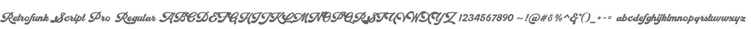 Retrofunk Script Pro Regular